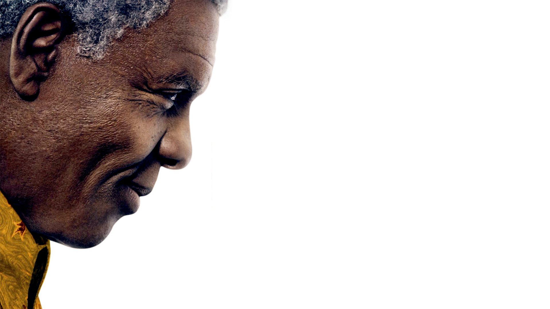 Mandela - Long Walk to Freedom Wide