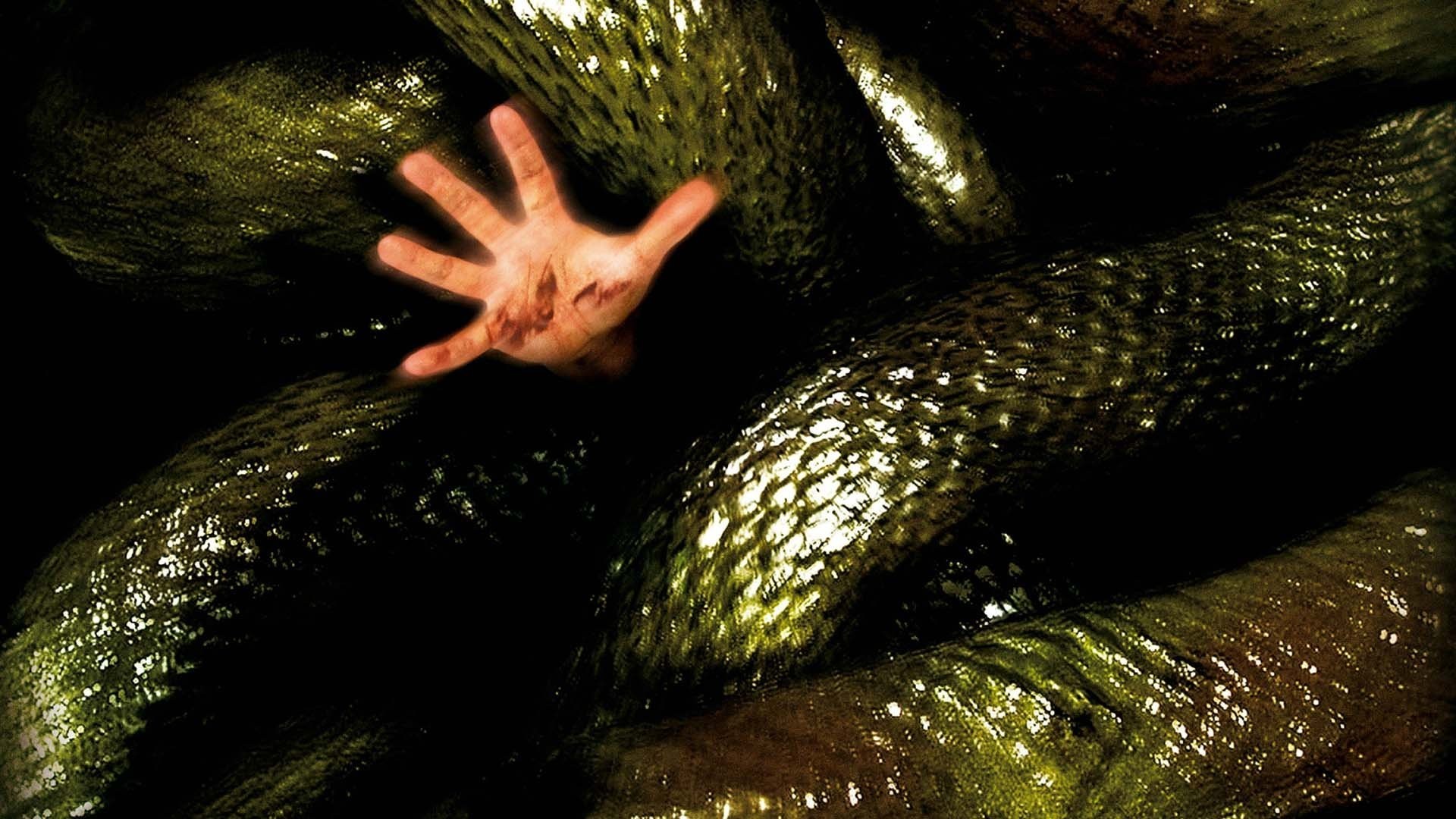 Anacondas