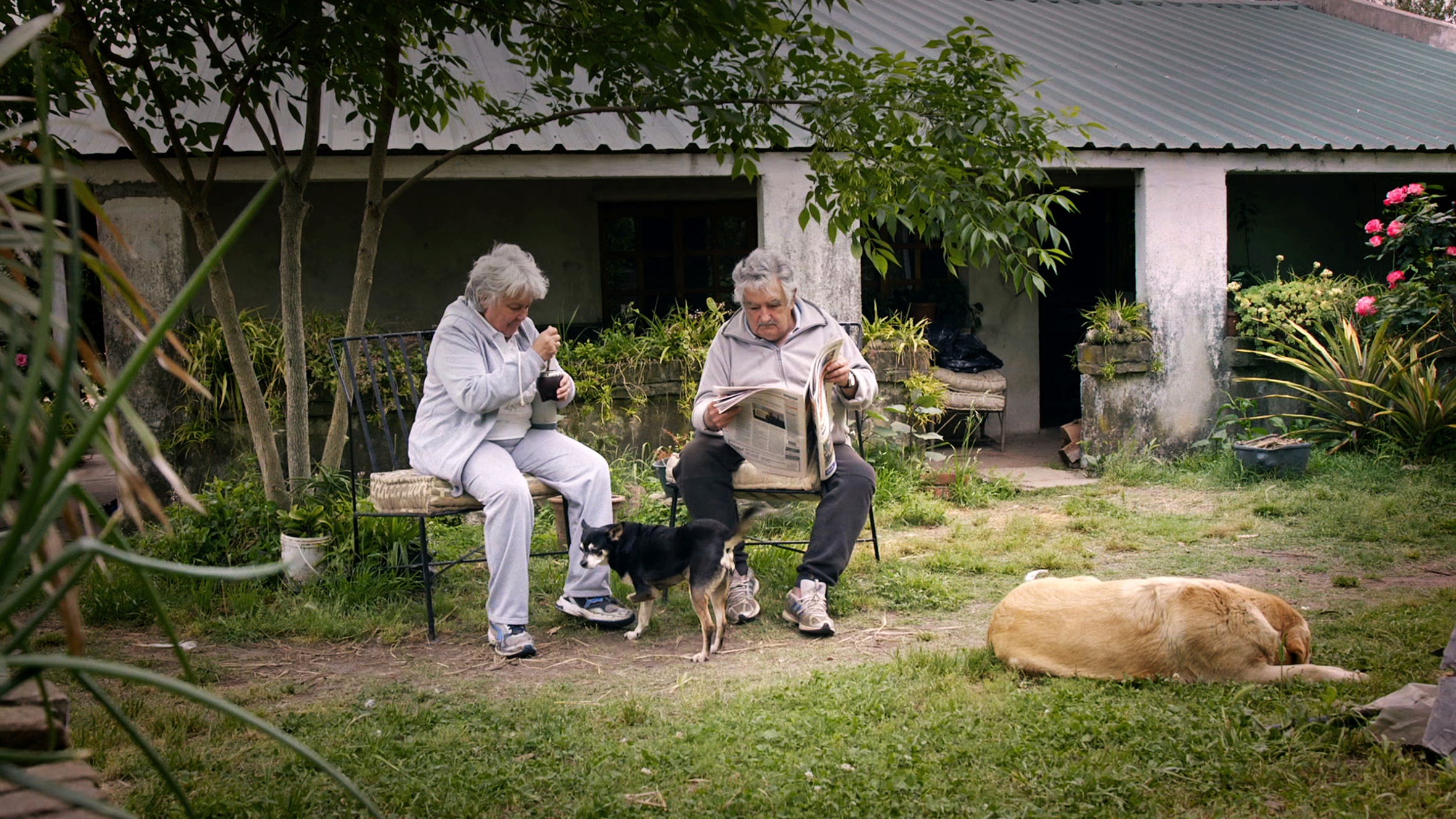 Pepe Mujica – Lessons from the Flowerbed